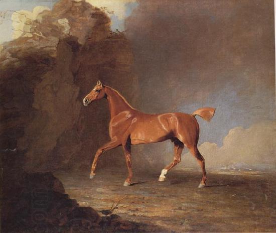 Benjamin Marshall A Golden Chestnut Racehorse by a Rock Formation With a Town Beyond China oil painting art